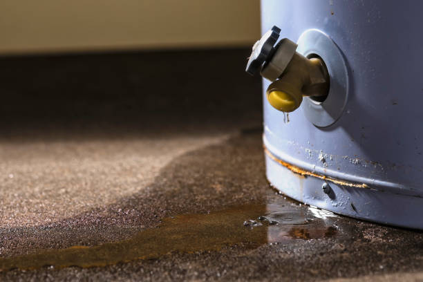 Professional Water damage restoration in Mount Sterling, OH