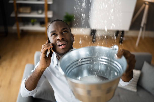 Best Water damage restoration experts  in Mount Sterling, OH