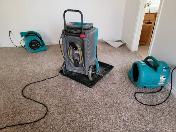 Best 24/7 water damage repair  in Mount Sterling, OH