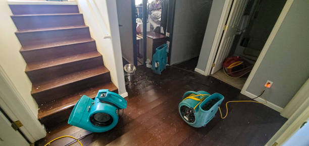 Best Emergency water damage restoration  in Mount Sterling, OH