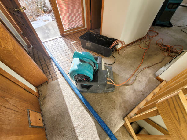 Best Commercial water damage restoration  in Mount Sterling, OH