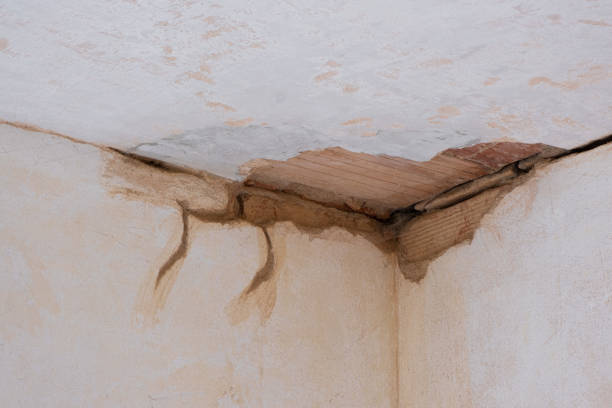 Best Mold removal after water damage  in Mount Sterling, OH