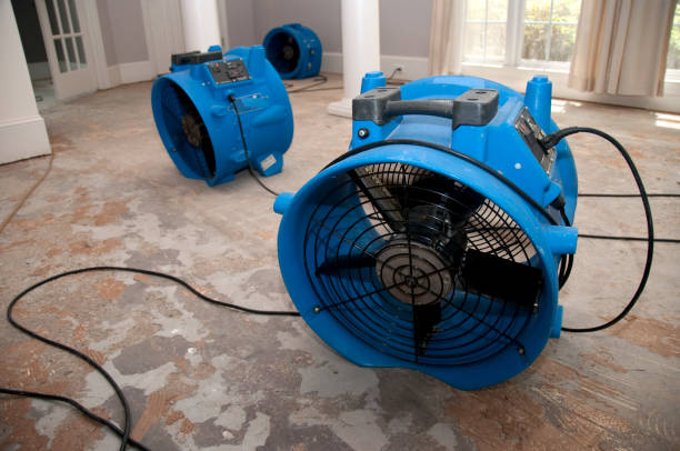 Best Basement water damage restoration  in Mount Sterling, OH