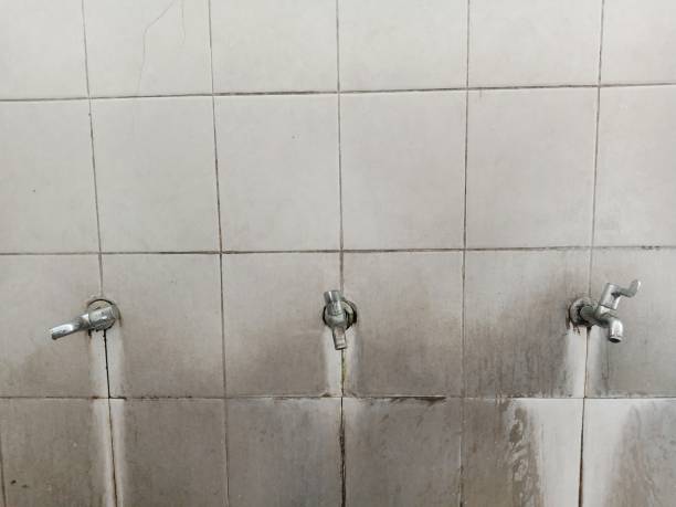 Best Water damage restoration process  in Mount Sterling, OH