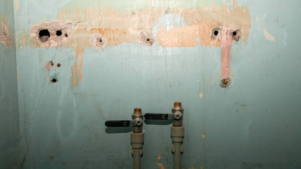 Best Water damage restoration near me  in Mount Sterling, OH